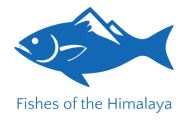 The Fishes of the Himalaya